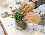 DIY - SPROUTS YOUTH Terrarium Workshop