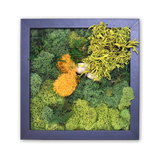 moss, art, frame. biophilic, wellness, calm, health, living, aura, round, wood