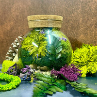 terrariums, moss, nature, eco design, wellness