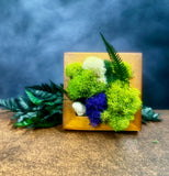 Mini,frame, Biophilic, demure,gift, nature, Living Aura, moss, ferns, stones 