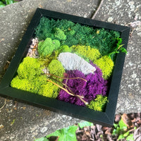 Living Aura 8x 8 inch Mushroom frame