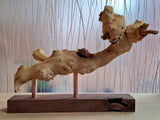 grapevine, sculpture, nature, biophilic, art, wood, wellness