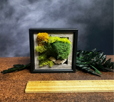 Moonlight Mini Moss Frame