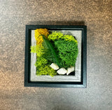 Moss, mini, frame, midnight, Biophilia, nature, Living Aura