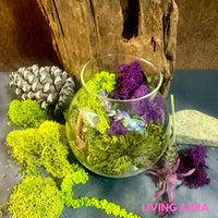 terrariums, moss, nature, eco design, wellness