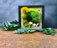 Moss, mini, frame, midnight, Biophilia, nature, Living Aura