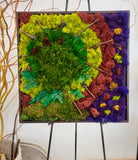 Step into the stillness of Nature - Framed art