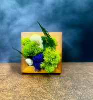 Mini,frame, Biophilic, demure,gift, nature, Living Aura, moss, ferns, stones 