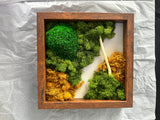 Nature’s touch 8 x 8 frame