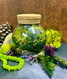 terrariums, moss, nature, eco design, wellness, 