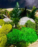 moss, organic, nature, biophilic 