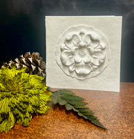 paper cast, note card, nature, cotton, organic, gift, luxury