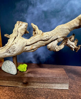 grapevine, sculpture, nature, biophilic, art, wood, wellness