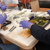 JUNE 16, 2026.  DIY Wellness Workshop- Moss Meditation  Living Aura 8x8 frame STUDIO WORKSHOP-