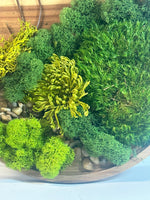 Nature in the round - tray