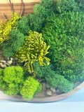 Nature in the round - tray