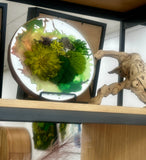 moss, round, leather, copper 