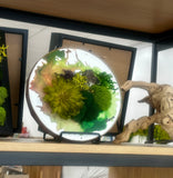 moss, round, leather, copper 