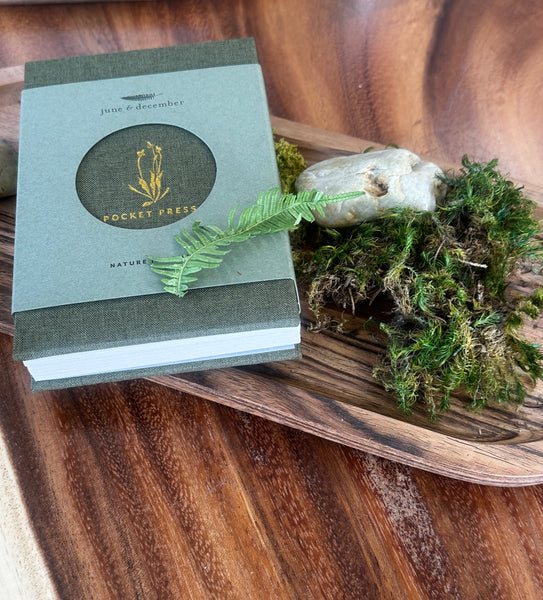 pocket, flower, press, nature, collect 