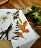 pocket, flower, press, nature, collect 