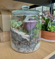 DIY - Terrarium Tranquility WELLNESS WEDNESDAY STUDIO WORKSHOP