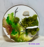 moss, nature, lichen mushroom, paint, stone, moss, nature, lichen mushroom, paint, stone, 