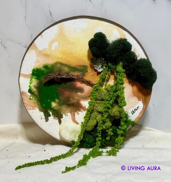 moss, nature, lichen mushroom, paint, stone, 