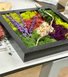 DIY STUDIO EVENT May 27, 2026 - Living Aura 8x8 frame