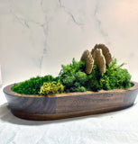 zen, moss, mushrooms, stones, wood, bowl zen, moss, mushrooms, stones, wood, bowl 