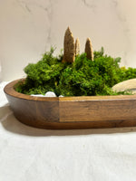 zen, moss, mushrooms, stones, wood, bowl, Living Aura