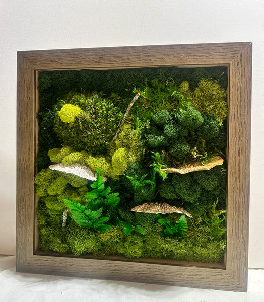 moss, mushrooms, ferns, rustic 