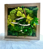 Moss and Mushrooms Frame