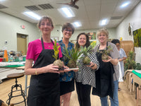 DIY - Kokedama Mindfulness WELLNESS WEDNESDAY STUDIO WORKSHOP