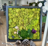 Living Aura 9 x 9 inch Frame