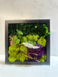 Living Aura 8x 8 inch Mushroom frame