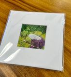 Giclee Print with Mat- Mushroom and Moss Detail 4 x 4  GC005M