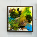 FRAMED ART - Secret Life of Plants 5 - 12x12 inches