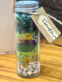 DIY Nature Mini Preserved Terrarium KIT with Silver Cap