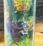 DIY Nature Mini Preserved Terrarium KIT with Silver Cap