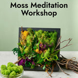 workshop. moss