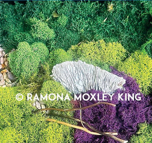 Giclee Print - Mushroom and Moss Detail 8x8 inches GC005