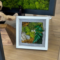 mini, frame, moss, fern, decor 