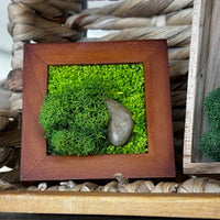 mini, frame, moss, fern, decor 