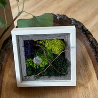 mini, frame, moss, fern, decor 