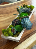 moss, tablecape, nature, decor
