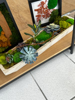 moss, tablecape, nature, decor