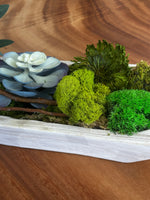 moss, tablecape, nature, decor