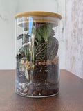 DIY - SPROUTS YOUTH Terrarium Workshop