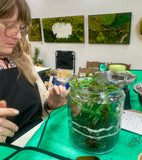 Person examining a jar of plants on a table with green tablecloth, surrounded by nature-themed decor.moss, terrarium, plants 