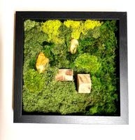 moss art, frame, moss, moss mounds, preserved moss, wood, stones